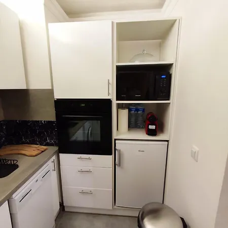 Apartment Elegance With Swimming Pool In Residence 昂蒂布